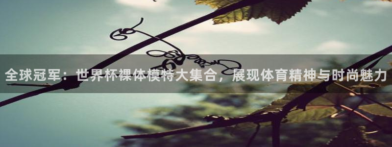 世界杯赛程表：全球冠军：世界杯裸体模特大集合，展现体育精神与时尚魅力