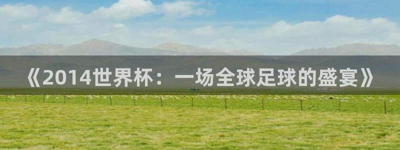 世界杯预选赛欧洲赛区积分榜：《2014世界杯：一场全球足球的盛宴》