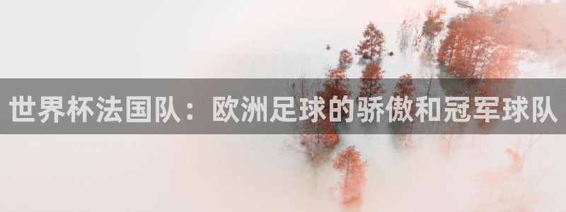 欧洲世预赛赛程表：世界杯法国队：欧洲足球的骄傲和冠军球队