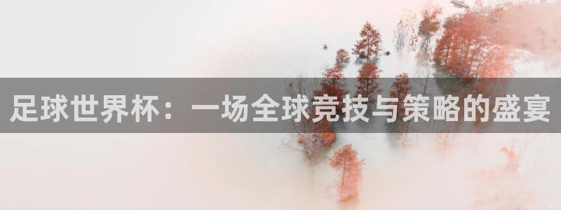 2026世界杯32强对阵图表：足球世界杯：一场全球竞技与策略的盛宴