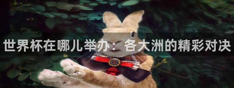 2026年世界杯对阵图：世界杯在哪儿举办：各大洲的精彩对决