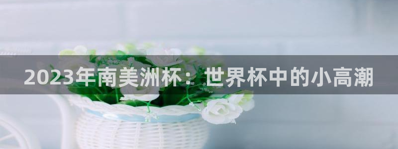 世界杯16强赛程表：2023年南美洲杯：世界杯中的小高潮