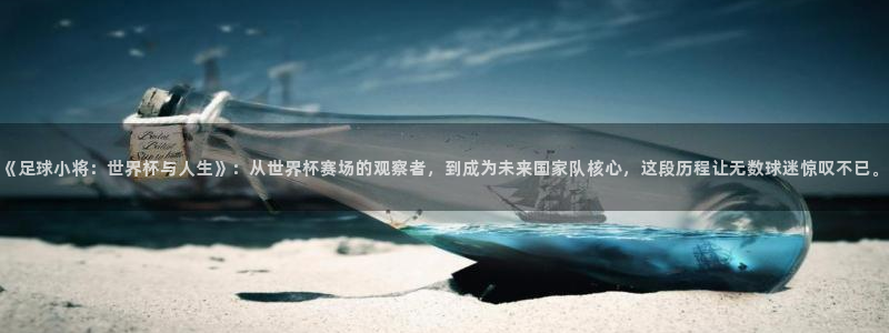 2026世界杯官网入口：《足球小将：世界杯与人生》：从世界杯赛场的观察者，到成为未来国家队核心，这段历程让无数球迷惊叹不已。