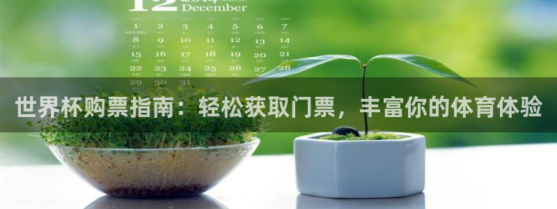 免费足球比赛直播高清：世界杯购票指南：轻松获取门票，丰富你的体育体验