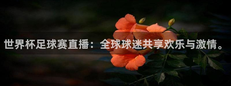 世界杯直播高清：世界杯足球赛直播：全球球迷共享欢乐与激情。