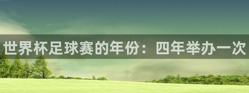 2026年世界杯：世界杯足球赛的年份：四年举办一次