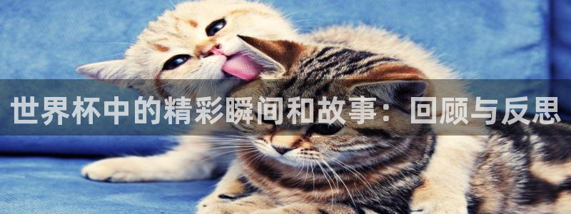 世界杯预选赛2026：世界杯中的精彩瞬间和故事：回顾与反思
